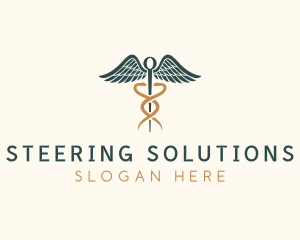 Healthcare Caduceus Staff logo design