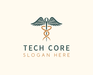 Healthcare Caduceus Staff logo design