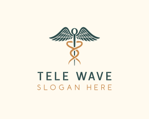 Healthcare Caduceus Staff logo design