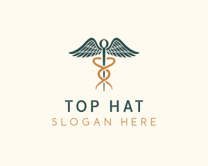 Healthcare Caduceus Staff logo design