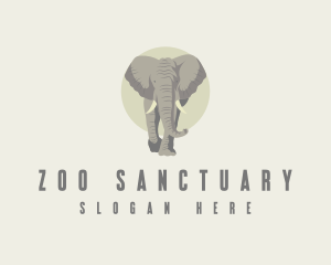 Safari Zoo Elephant logo design