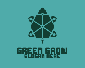 Digital Green Turtle logo design