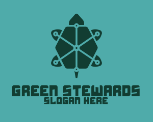 Digital Green Turtle logo design