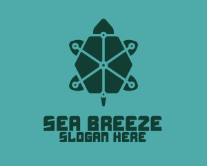 Digital Green Turtle logo design