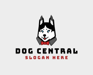 Husky Dog Character logo design