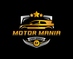 Car Auto Detailing logo design