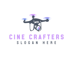 Drone Flight Photography logo design