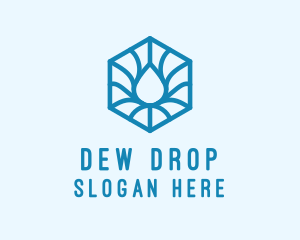 Hexagon Water Droplet logo design