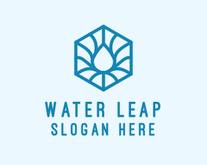 Hexagon Water Droplet logo design