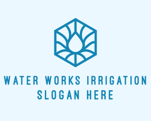 Hexagon Water Droplet logo design