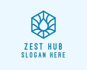 Hexagon Water Droplet logo