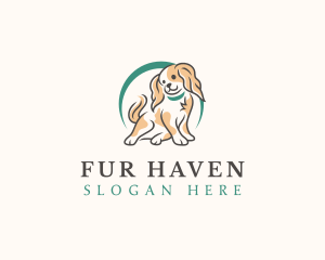 Cute Spaniel Dog logo design