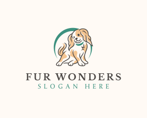 Cute Spaniel Dog logo