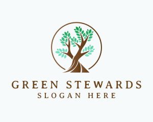 Green Leaf Tree logo design