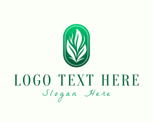 Elegant Eco Leaves logo