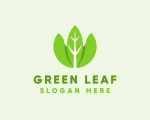 Organic Herb Leaves  logo