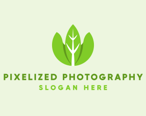 Organic Herb Leaves  logo design