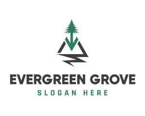 Pine Tree Outdoors logo design