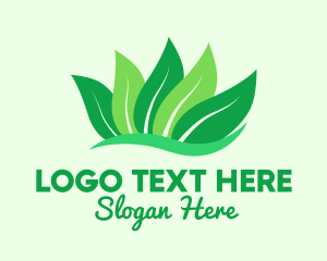 Natural Green Leaves logo