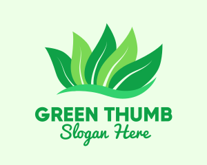 Natural Green Leaves logo design