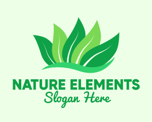 Natural Green Leaves logo design