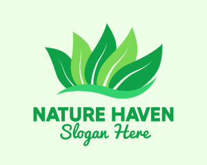 Natural Green Leaves logo design