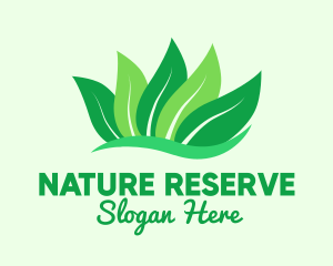 Natural Green Leaves logo design