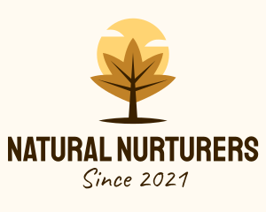 Autumn Forest Tree logo design