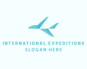 Airplane Flight Aviation logo design