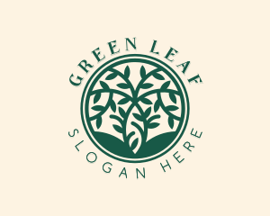 Botanical Eco Tree  logo design