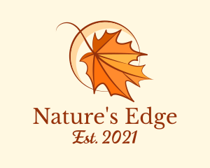 Elegant Dry Leaf  logo design