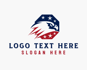 USA Eagle Veteran logo