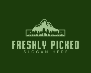 Green Pine Mountain logo design