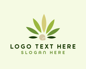 Modern Marijuana Weed logo