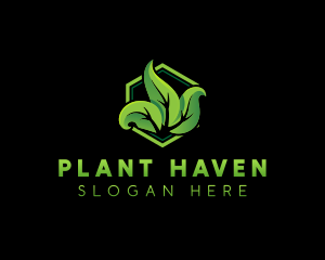 Plant Garden Leaf logo design