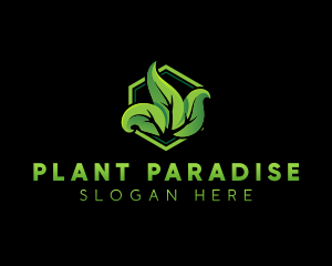 Plant Garden Leaf logo design