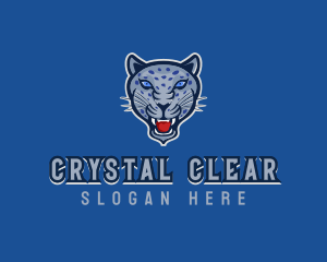 Angry Jaguar Varsity logo design