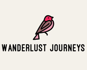 Lovebird Bird Watching Logo
