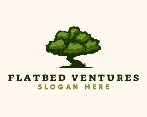 Natural Tree Nature  logo design