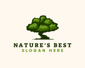 Natural Tree Nature  logo design