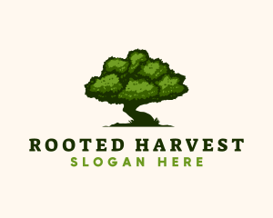 Natural Tree Nature  logo design