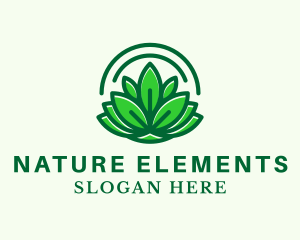 Natural Therapeutic Lotus  logo design