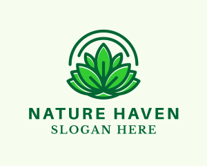 Natural Therapeutic Lotus  logo design