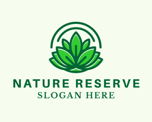 Natural Therapeutic Lotus  logo design