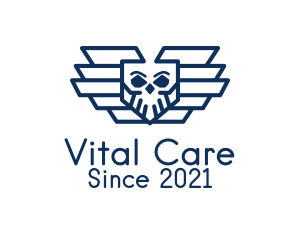 Blue Skull Air Force  logo