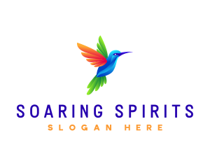 Colorful Flying Hummingbird logo