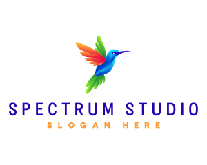 Colorful Flying Hummingbird logo