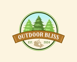 Pine Tree Forest logo design