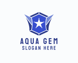 Geometric Gem Star Crest logo design