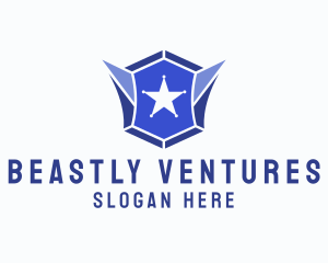 Geometric Gem Star Crest logo design